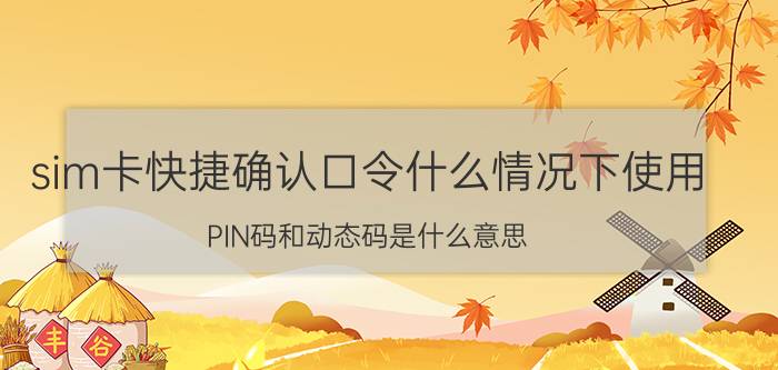 sim卡快捷确认口令什么情况下使用 PIN码和动态码是什么意思？